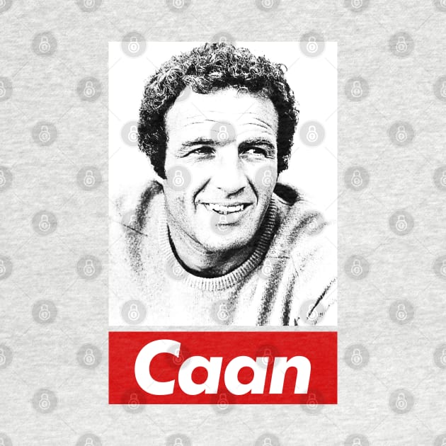 James Caan Film Fan Lover Design by DankFutura